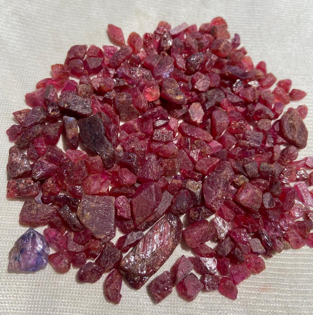 Rough rubies stones Pigeon blood for lapidary