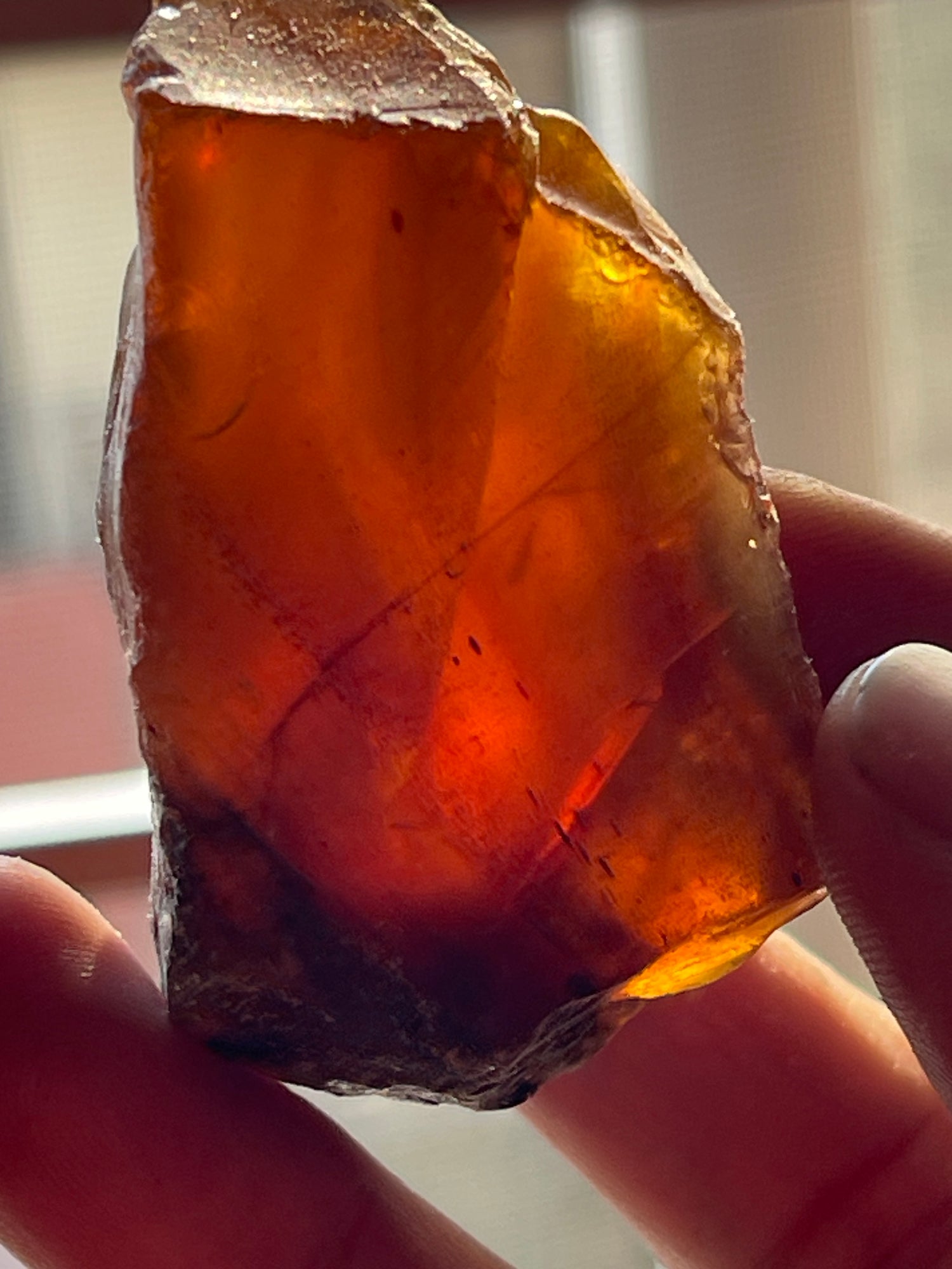 23.75 Grams Rough Amber Stones for Lapidary