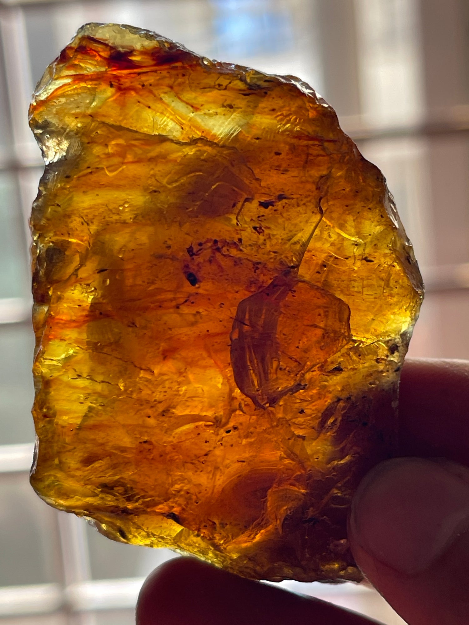 24.73 grams Amber Raw Stone for Collection | Lapidary