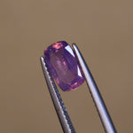 Rare Pink Kashmir Sapphire