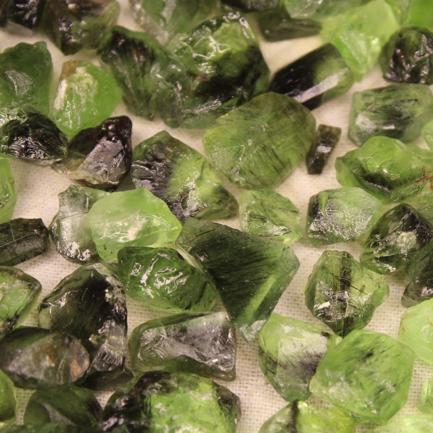 100 grams / 500 carats Natural Raw Peridots with Ludwigite Inclusions